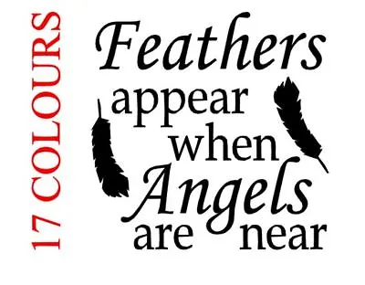 £1.69 • Buy Feathers Appear When Angels Are Near Vinyl Decal Sticker Bauble Christmas Glass