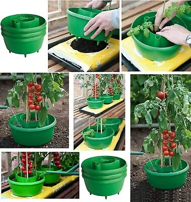 Green Plant Halos Grow Bag Tray Watering Halo Ring Tomatoes Cane Support  • £17.65