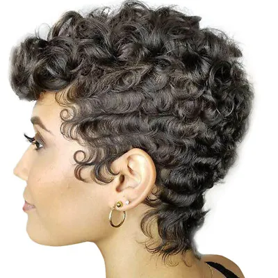 Fashion Synthetic Full Wigs Afro Brown Short Wavy Curly Hair Wig For Women • $14.99