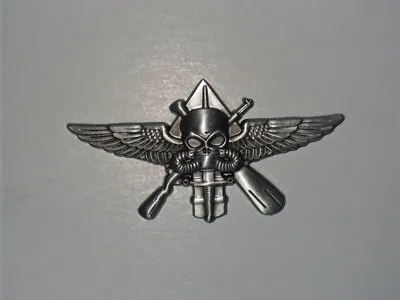 Prototype MARSOC Badge Raider Skull Pin US Marine Corps Tactical Operator  • $24.99