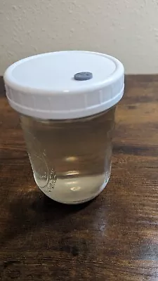 Mushroom Liquid Culture Nutrient Solution - Sterilized - 1 Pint - Bulk Discount  • $6.99