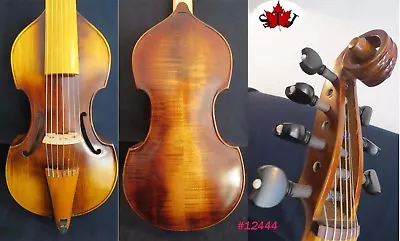 Baroque Style SONG Maestro 7 String Viola Da Gamba Body Length 14 3/4  #12444 • $413.10