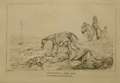 1825 Henry Alken Sporting Print ~ Coursing Dead • £48