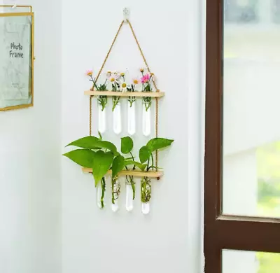 £19.99 • Buy Wall Hanging Hydroponic Vase-Cutting/Plant Rooter/Planter -Propagation Station
