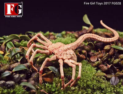 Fire Girl Toys 1/6 Predator Alien Facehugger Model Figure Toy FG028 • $20.29