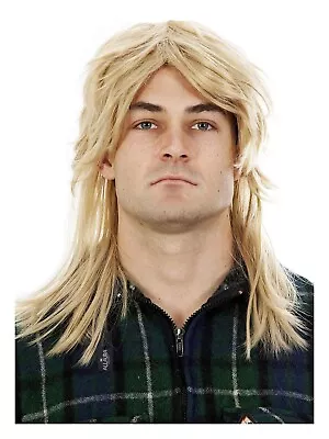 ALLAURA Blonde Mullet Wigs For Men 70s 80s Costumes Mens Fancy Blonde/Brown • $25.15