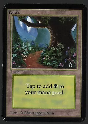 ***Alpha Forest Path*** MTG Alpha Magic Kid Icarus • $0.94