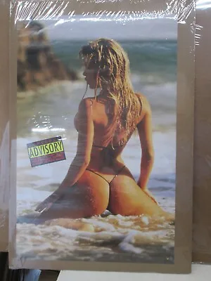 Consumer Advisory 1993 Hot Girl Man Cave Car Garage Vintage Maxwell Poster 17075 • $39.97