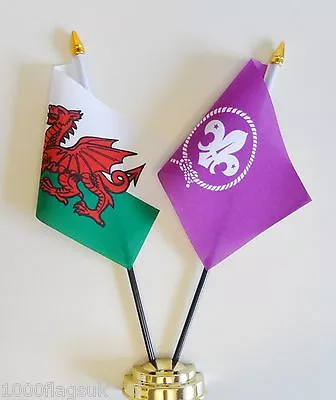 Wales & International Scouting Double Friendship Table Flag Set • £9