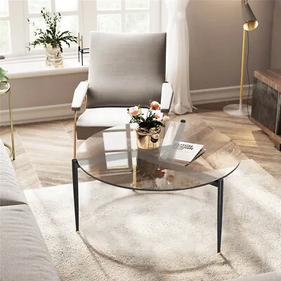 Artistry &Technical Glass Round Coffee Table Side Table With Stylish Metal Frame • $59.97