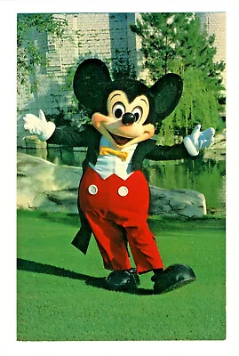 Postcard WALT DISNEY WORLD Mickey Mouse Is A Beloved Symbol Of Disney. D2 • $3.99