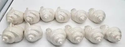 Vintage Pearlized Sea Shell Napkin Rings Set Of 12 Nautical Beach • $24