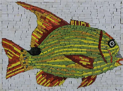 Cool Colorful Fish Plain Background Pool Bathroom Art Marble Mosaic • $214