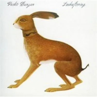 Vashti Bunyan Lookaftering New Cd • $19.54