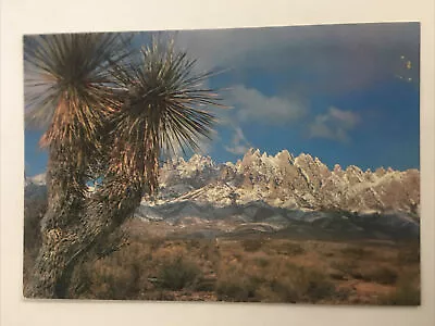 Organ Mountains New Mexico Postcard • $3.99