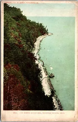 Mackinac Island MI-Michigan The North Boulevard Vintage Postcard • $7.99