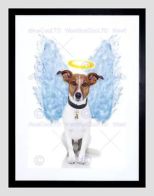 £24.50 • Buy Angel Wings Jack Russell Dog Halo Black Frame Framed Art Print Picture B12x9051
