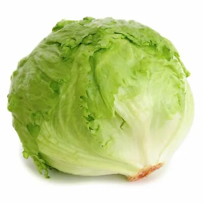 Iceberg Lettuce Seeds | Non-GMO | Free Shipping | Seed Store | 1104 • $1.99