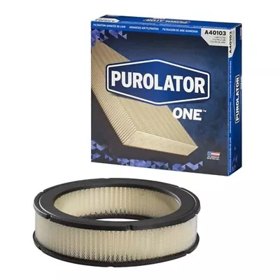 A40103 Purolator Air Filter For Chevy Luv S10 Pickup S-10 BLAZER S15 Jimmy Truck • $12.14