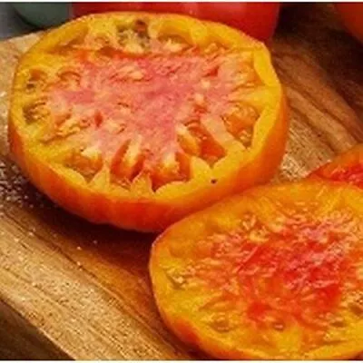 Virginia Sweets Tomato Seeds (25 Seed Age) • $4.75