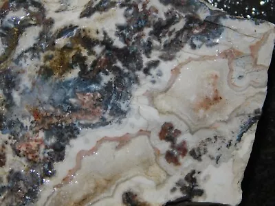 Black Lace Agate Lapidary Cabbing Rough Chunk Mexico 12.5 Oz • $10