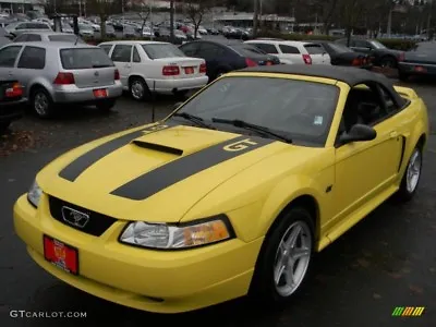 1999 2000 2001 2002 2003 2004 Mustang GT Hood Stripe Kit • $69.88