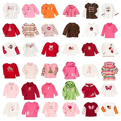 NWT GYMBOREE Baby Girl Kids Girl Fall/Winter LS Tee Top Hoodie  • $8.99