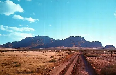 $1.29 • Buy Las Floridas Mountains, New Mexico, Deming, Las Cruces - Postcard (J10)