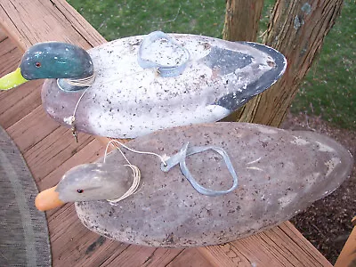 2 VTG Antique LL Bean Coastal Cork Decoys Glass Eye Hen Drake Mallard Green Head • $29.99