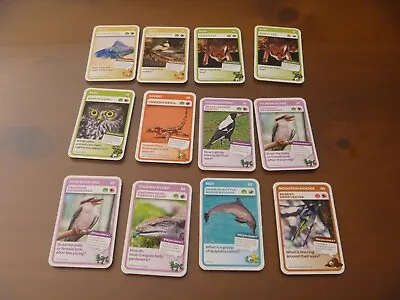 Woolworths Green Aussie Animals Cards Bulk Lot 12 Individual Cards Duplicates • $1.99