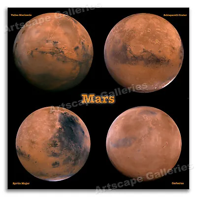 Four Views Of The Hemispheres Of Mars  - NASA / Space / Astronomy Poster - 24x24 • $22.95