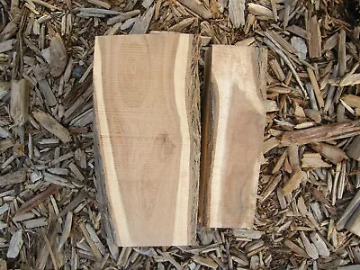 Set Of 2 Mesquite Wood Blocks  Set #48 • $21.95