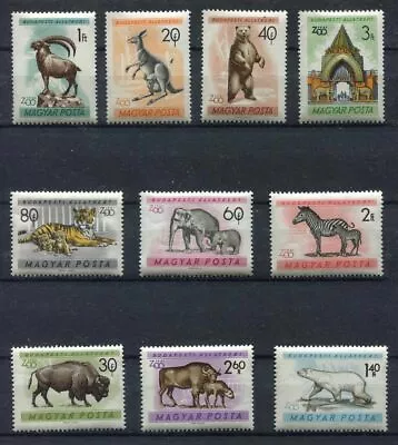 S7767) Hungary 1961 MNH Budapest Zoo 10v • $4.35