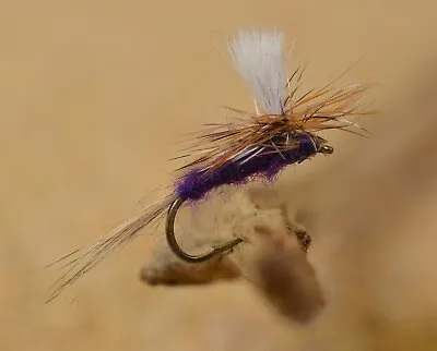 12 Flies - Purple Haze Dry Fly - Mustad Signature Fly Fishing Hooks • $8.99