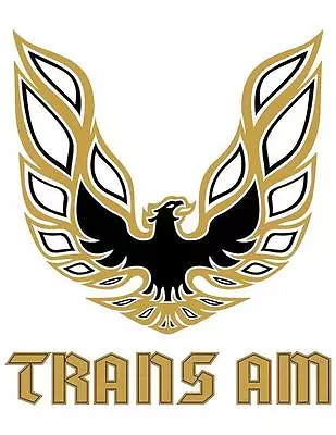 Trans Am # 10 - 8 X 10 - T Shirt Iron On Transfer • $4