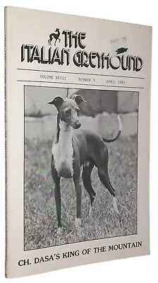 Italian Greyhound Magazine Champion Dasa's King Photos & Articles Apr. 1985 • $9.95