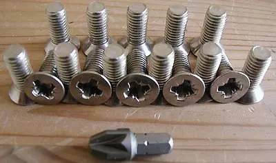 Air Cooled VW Volkswagen DOOR HINGE Screws Stainless Steel Pozi Head +Driver Bit • $27.49