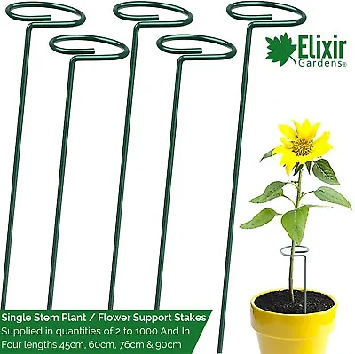 Single Stem Steel Flower/Plant Support | 45cm 60cm 76cm 90cm | QTY's 2-1000 • £8.99