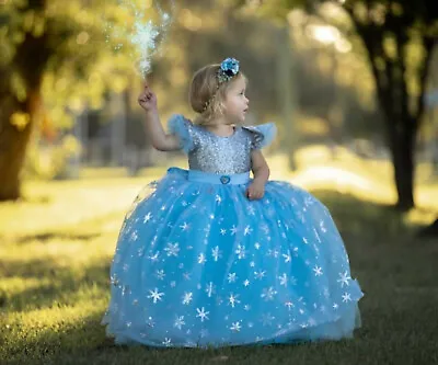 Frozen Princess Elsa Fancy Birthday Dress Costume Contact Me For 40% Discount • $182.67