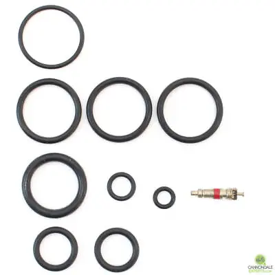 $30 • Buy CannondaleExperts.com Cannondale Lefty 32mm 1.0 Abbreviated 100 Hour Seal Kit