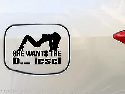 SHE WANTS THE DIESEL Sexy Car 4x4 Sticker Decal Funny For Hilux Patrol 150mm • $5.90