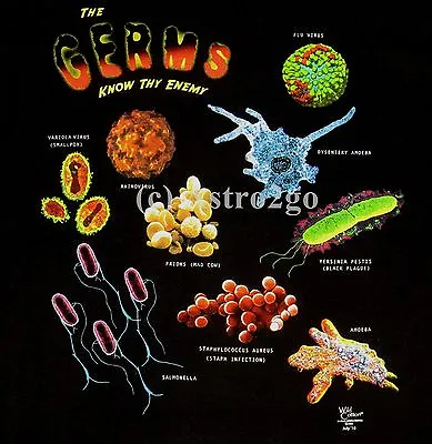 GERMS-2 Sided Science Biology Health Medical Teacher T Shirt NEW!  Size M-3XL • $25