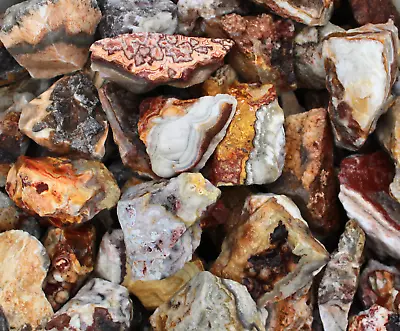 Crazy Lace Agate - Rough Rocks For Tumbling - Bulk Wholesale 1LB Options • $68.79