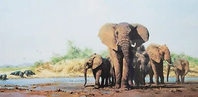 David Shepherd 'evening In Africa' Limited Edition Wild Elephants Print Signed • £200