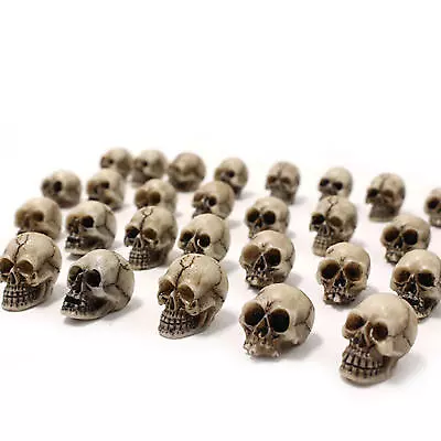 20pcs Mini Skulls Set Mini Skull Heads Garden Decorations Skeleton Garden Potted • $10.76