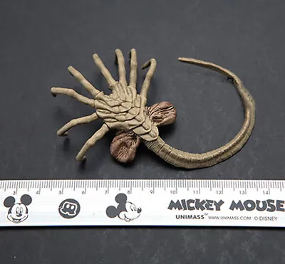 1/6 Alien Animal Predator Facehugger Larva Model Insect For 12  Figure Action • £11.71