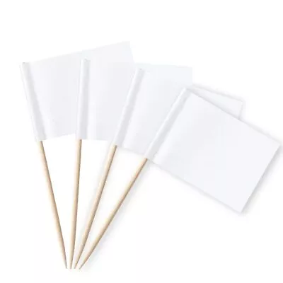 Blank Toothpick Flags Labeling Marking Flag Small Mini Stick Flags For Cupcak... • $8.34