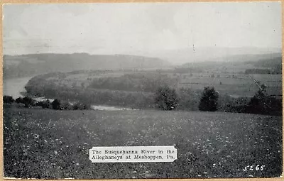 Meshoppen Susquehanna River PA Alleghaneys Pennsylvania Postcard • $5.19