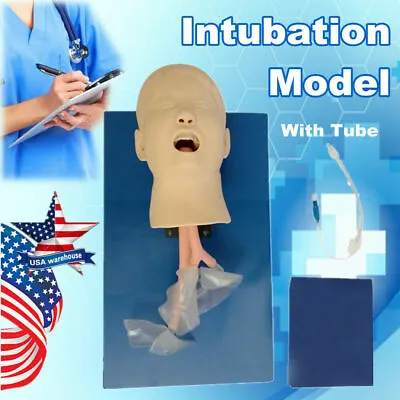 $185.25 • Buy Airway Management Trainer Child Intubation Manikin Model Oral Nasal Model PVC