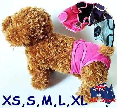 XS-XL Dog Pet Female Nappy Diapers Shorts Season Sanitary Pants UndiesUnderpants • $9.95